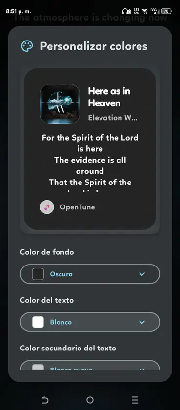 OpenTune player color customization screen